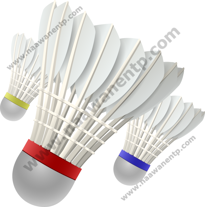 badminton-transparent-background-21